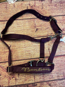 🐴🎁 Überraschungsbox Halfter inkl Druck