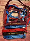 Halfter Satin  Shetty-Xfull