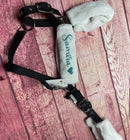 🐴🎁 Überraschungsbox Halfter inkl Druck