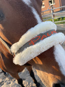 🐴🎁 Überraschungsbox Halfter inkl Druck