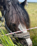 Halfter Alcantara Pony-WB