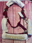 🐴🎁 Überraschungsbox Halfter inkl Druck