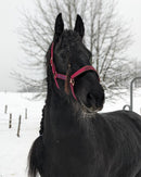 Halfterset Dividal Shetty-Full