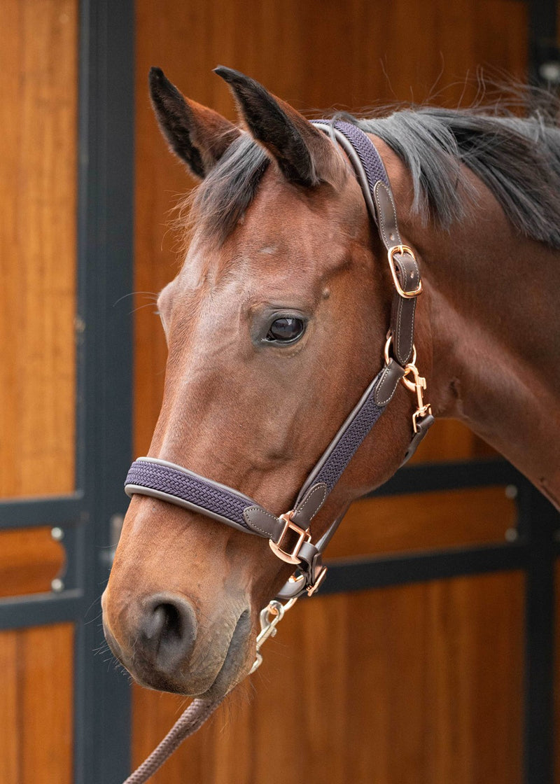 Lederhalfter Braided Cob