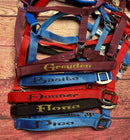 🐴🎁 Überraschungsbox Halfter inkl Druck