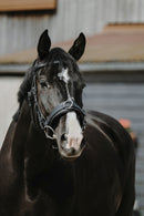 Auslaufartikel NORTON Breiter Kappzaum WB