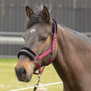 Halter Lyrics Black Shetty-Full