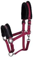 Halter Lyrics Black Shetty-Full