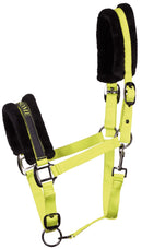 Halter Lyrics Black Shetty-Full