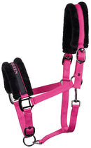 Halter Lyrics Black Shetty-Full