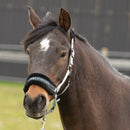 Halter Lyrics Black Shetty-Full