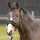 Halter Lyrics Black Shetty-Full