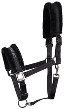 Halter Lyrics Black Shetty-Full