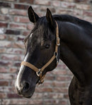 Halfter Satin  Shetty-Xfull