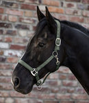 Halfter Satin  Shetty-Xfull