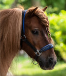 STAR LEDERHALFTER DIAMOND