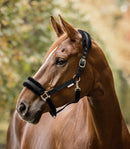 Halfter First Minishetty-WB