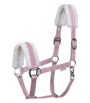 Halfter First Minishetty-WB