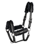 Ausverkauf Halfter Paris VB-WB