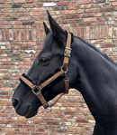 Ausverkauf Halfter Paris VB-WB