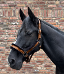 Ausverkauf Halfter Paris VB-WB