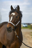 EQUITHÈME „Nylon Check" Halfter