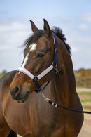 EQUITHÈME „Nylon Check" Halfter