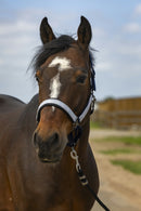 EQUITHÈME „Nylon Check" Halfter