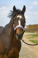 EQUITHÈME „Nylon Check" Halfter