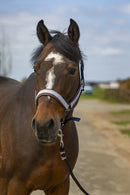 EQUITHÈME „Nylon Check" Halfter