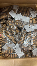 Sonderposten Katzenspielzeug Federrolle Korki 48x5 cm in Korkoptik