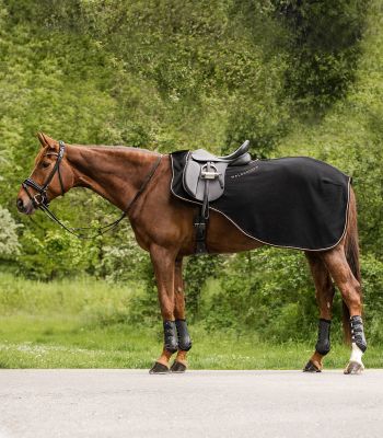 Ausreitdecke Modern Rosé