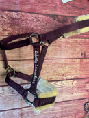 🐴🎁 Überraschungsbox Halfter inkl Druck