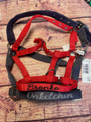 🐴🎁 Überraschungsbox Halfter inkl Druck