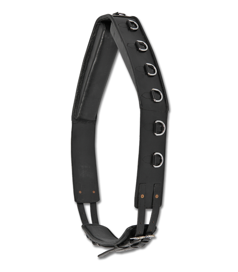 Longiergurt, Leder