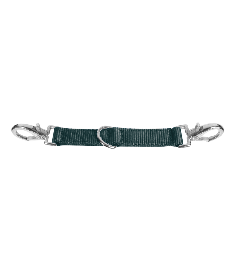 Longierbrille