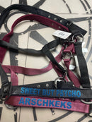 Halfter Satin  Shetty-Xfull