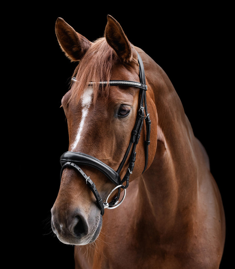 Waldhausen X-Line Trensenzaum Clincher