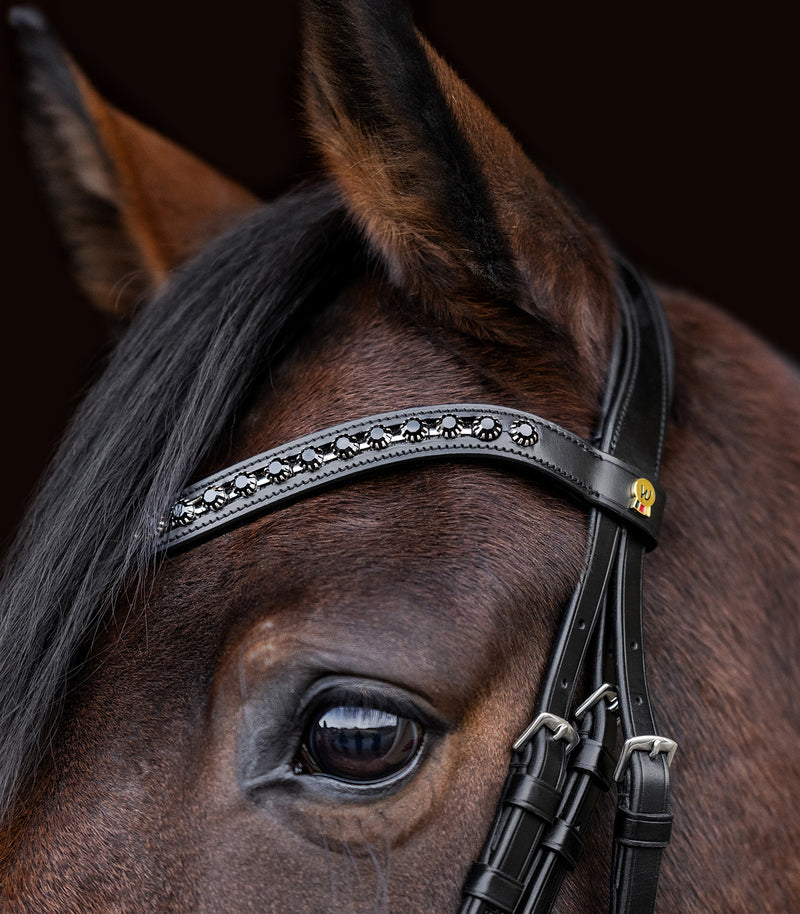 Waldhausen S-Line Lacktrensenzaum Blackshine