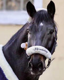 🐴🎁 Überraschungsbox Halfter inkl Druck