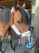 🐴🎁 Überraschungsbox Halfter inkl Druck