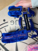 🐴🎁 Überraschungsbox Halfter inkl Druck