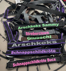 🐴🎁 Überraschungsbox Halfter inkl Druck