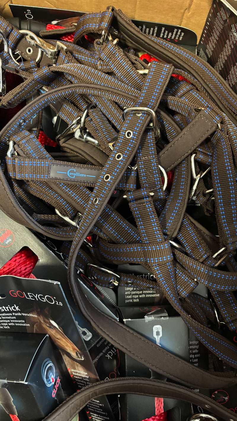 Sonderposten GoLEYGO Halfter Pony
