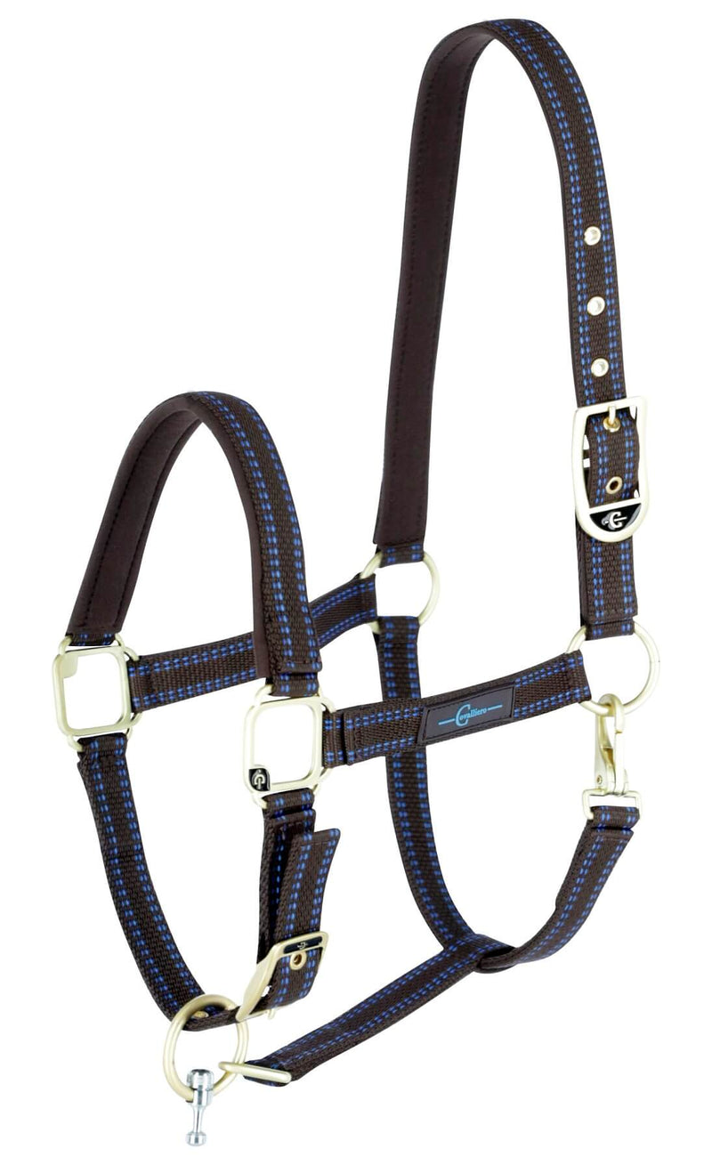 Sonderposten GoLEYGO Halfter Pony