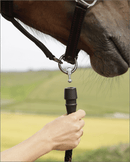 Sonderposten GoLEYGO Halfter Pony