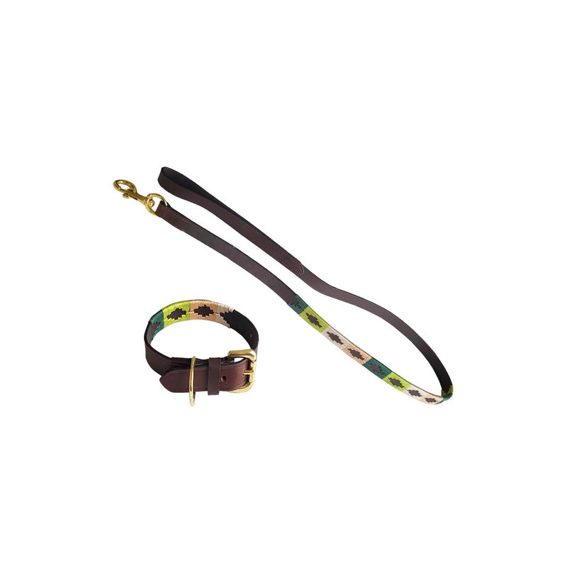 Auslaufartikel Chukka Dog Set Halsband und Leine Leder