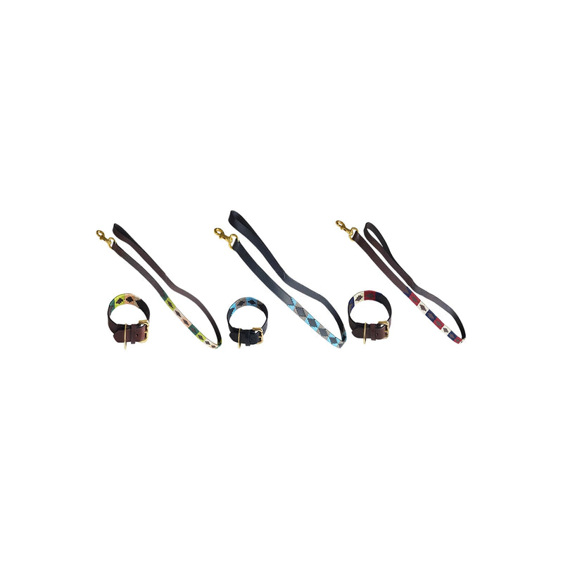 Auslaufartikel Chukka Dog Set Halsband und Leine Leder