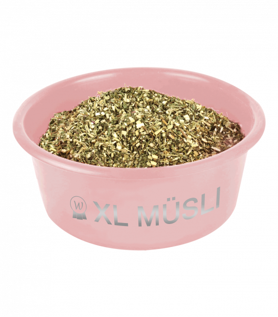 XL MÜSLI-SCHALE MIT DECKEL