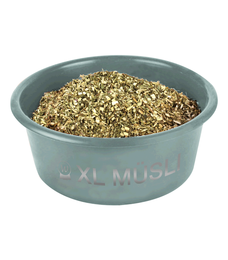 XL MÜSLI-SCHALE MIT DECKEL